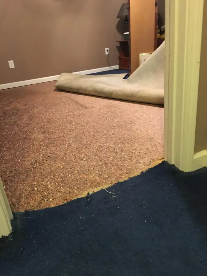 Carpet pad removal revealing water damage during Drying & Dehumidification in Westminster